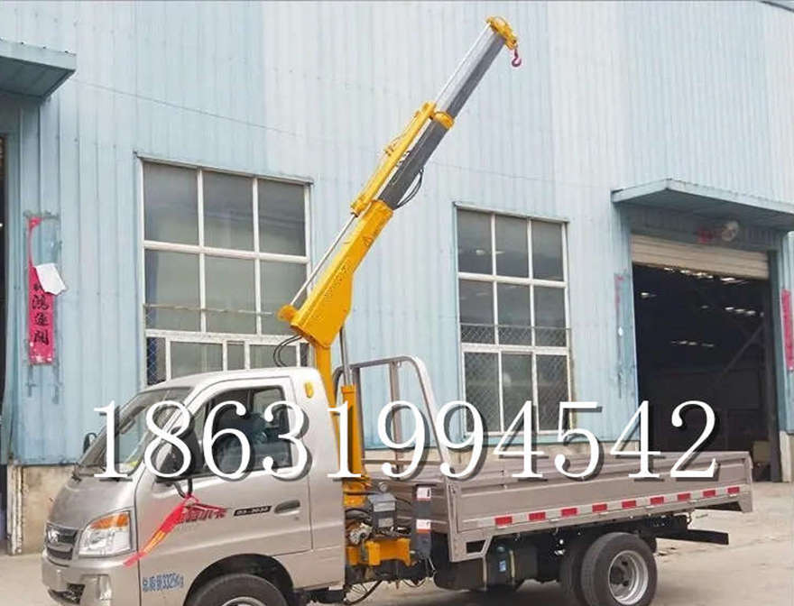 港北区车载吊机车载吊机室内吊机出租悬臂吊机出租遥控升降机室内吊机